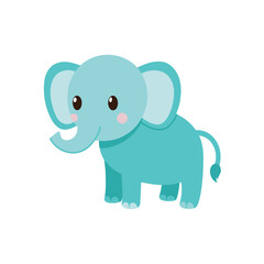 Elephant Baby on white background