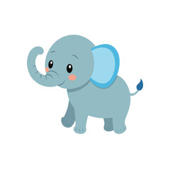 Elephant Baby on white background