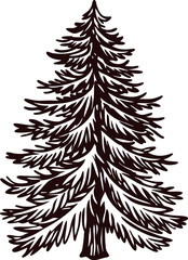 Obraz premium sketch-of-a-pine-tree-with-detailed-branches---- (1).eps