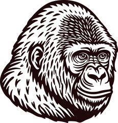 Naklejka premium Hand drawn gorilla head illustration with expressive eyes and detailed fur isolated on white background