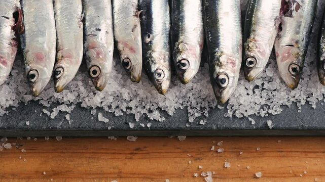 Chef cooking Fresh Sea sardines and Anchovy Fish and Mullus, salted fermented fish, On Display On Ice On Market Store Shop. Seafood Fish Background, sprats, smelt close up stand of