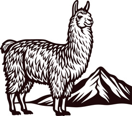 Fototapeta premium Engraved illustration of a standing llama with detailed fur beside mountains in black and white vintage