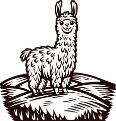 Fototapeta premium Hand drawn llama on grassy hill, vintage engraved style, isolated illustration with textured line art detail