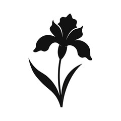 Iris flower silhouette on white background