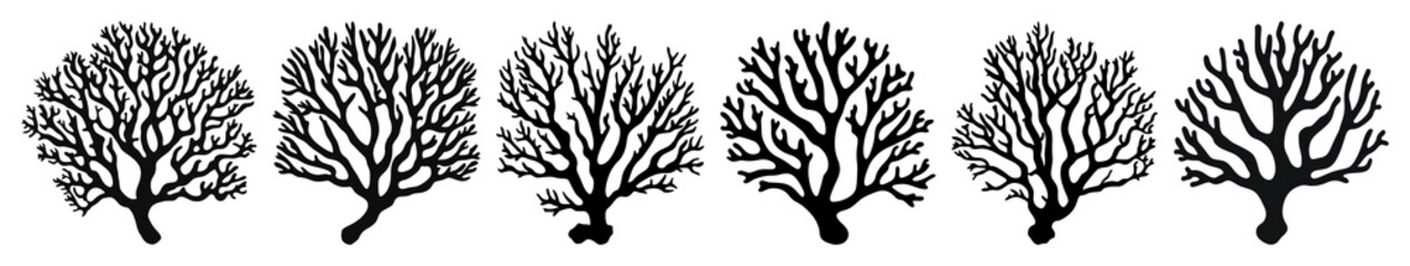 PNG Vintage coral silhouette illustrations, element set on transparent background