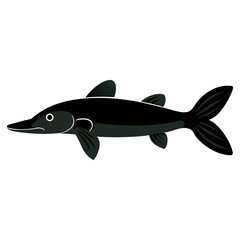 Vector art illustration of a species of stringy fish