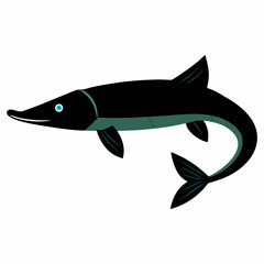 vector illustration of a fish