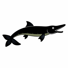 silhouette of a fish