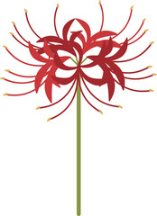 赤い彼岸花のアイコン