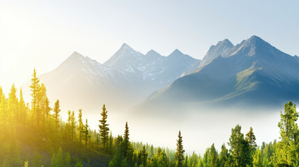 Rugged mountains partially veiled by low morning mist, surrounded by lush green pine trees and bathed in soft sunlight, creating serene and tranquil natural landscape