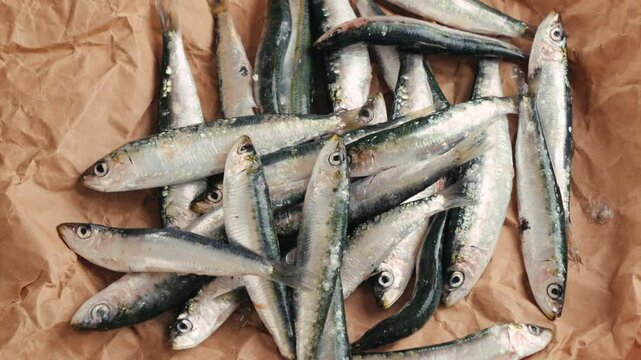 Fresh Sea sardines and Anchovy Fish and Mullus On Display On Ice On Market Store Shop. Seafood Fish Background, sprats, smelt close up stand of small salty white fish.