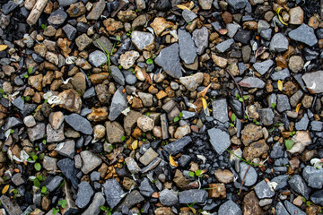 Colorful Natural Pebble Background
