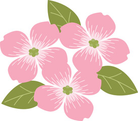 ハナミズキのアイコン