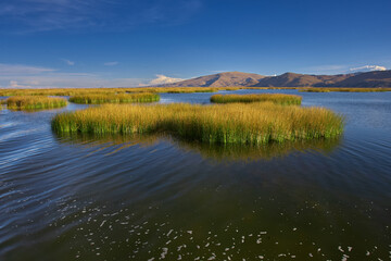 Lost in the magic of Uros Islands. Floating on Lake Titicaca, these islands are a testament to human creativity and resilience. Made entirely of reeds, they’re home to the Uru people. Puno Peru