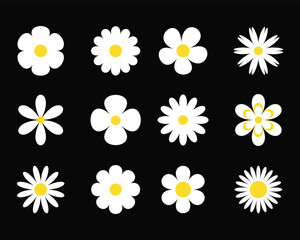 Flowers icon set. Spring flower vector set. white flowers collection. Daisy chamomile. vector illustration.