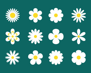 Flowers icon set. Spring flower vector set. white flowers collection. Daisy chamomile. vector illustration.