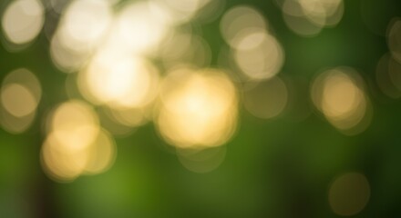 Bokeh of Sunlight Through Trees