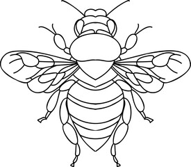 Bee Vector Art illustration, honeybee