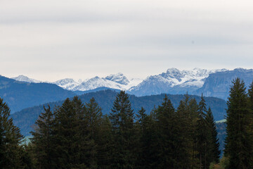 Breathtaking panoramic view from the Pfänder mountain in showcasing the majestic snow-capped Alps stretching across the horizon