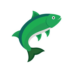 Salmon fish on white background