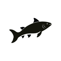Salmon fish silhouette on white background