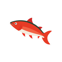 Salmon fish on white background
