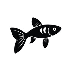 Fototapeta premium Guppy fish silhouette on white background