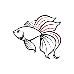 fish on a white background