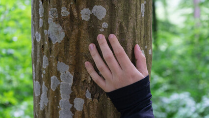 A woman’s hand on a tree trunk, touching the bark.