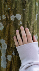 A woman’s hand on a tree trunk, touching the bark.