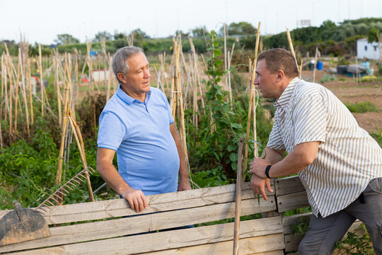 Neighbor conversation. Two smiling men breezily chatting near wooden plank fence of rural house on sunny summer day