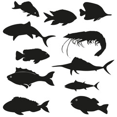 Hand Drawn Fish Vector File