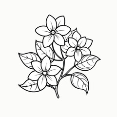 Fototapeta premium jasmine-out-line-flower-victor-clipart-on-white-ba.eps