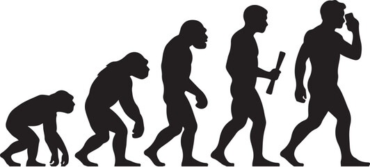 Human evolution illustration