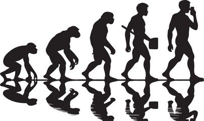 Human evolution illustration
