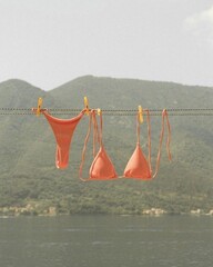 Bathing suit drying on line in Hawaii