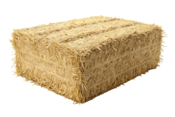 Rectangular Bale of Tightly Packed Straw A High-Resolution Image