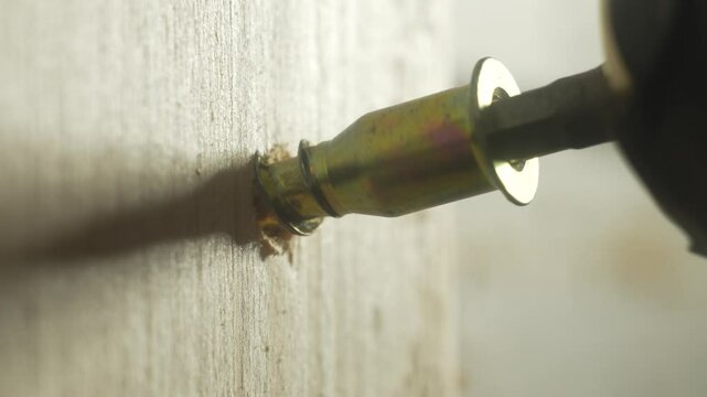 Close-up screwdriver bit screwing yellow zinc countersunk self-tapping screw into wooden board. Hardware tool tightening metal spiral during construction. Bit working with fastener in repair action