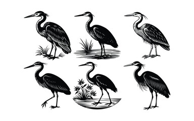 Obraz premium set of vector birds