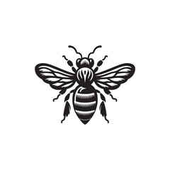Bee Vector (1).eps