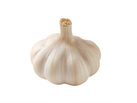 A fresh bulb of garlic, showcasing its smooth, white skin and natural texture, is isolated against a bright white background in a studio setting captu its essence.