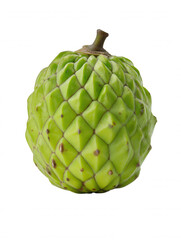 A vibrant green cherimoya fruit, displaying its unique geometric patterned skin and attached stem, is isolated on a pristine white background to highlight textures.