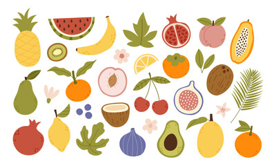 Set of abstract tropical fruit illustration featuring pineapple, pomegranate, kiwi, lemon, avocado, watermelon, banana, and tropical elements