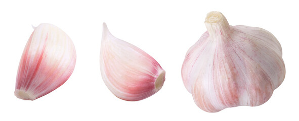 Collection of garlic on isolated white background. Whole garlic and cloves.