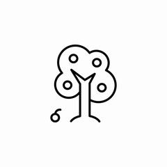 fruit tree icon sign vector