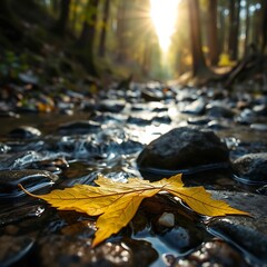 Autumnal Leaf Floating in a Forest Stream