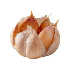 A partially open bulb of garlic with a few cloves showing is centered on a plain white background, providing a crisp and clean food related image alone.