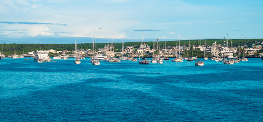 Puerto Ayora Harbor View, Santa Cruz Island, Galapagos