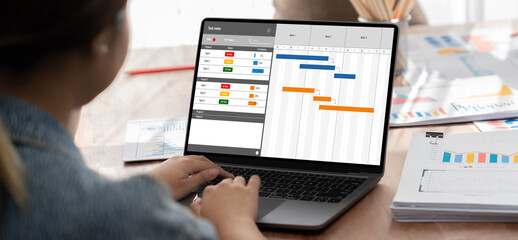 Project planning software for brisk business project management on the computer screen showing...