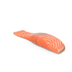 Raw salmon fillet isolated on transparent background